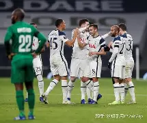 包含托特纳姆热刺遭遇重挫,领跑位置岌岌可危的词条